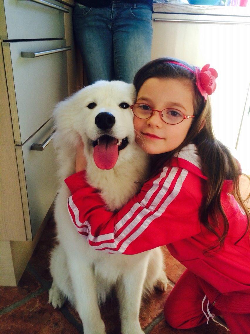 Samojedhund Eya billede 14