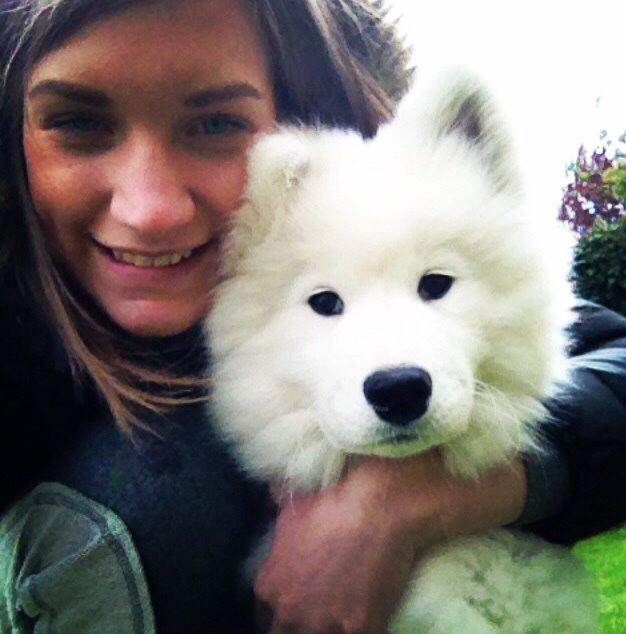 Samojedhund Eya billede 19