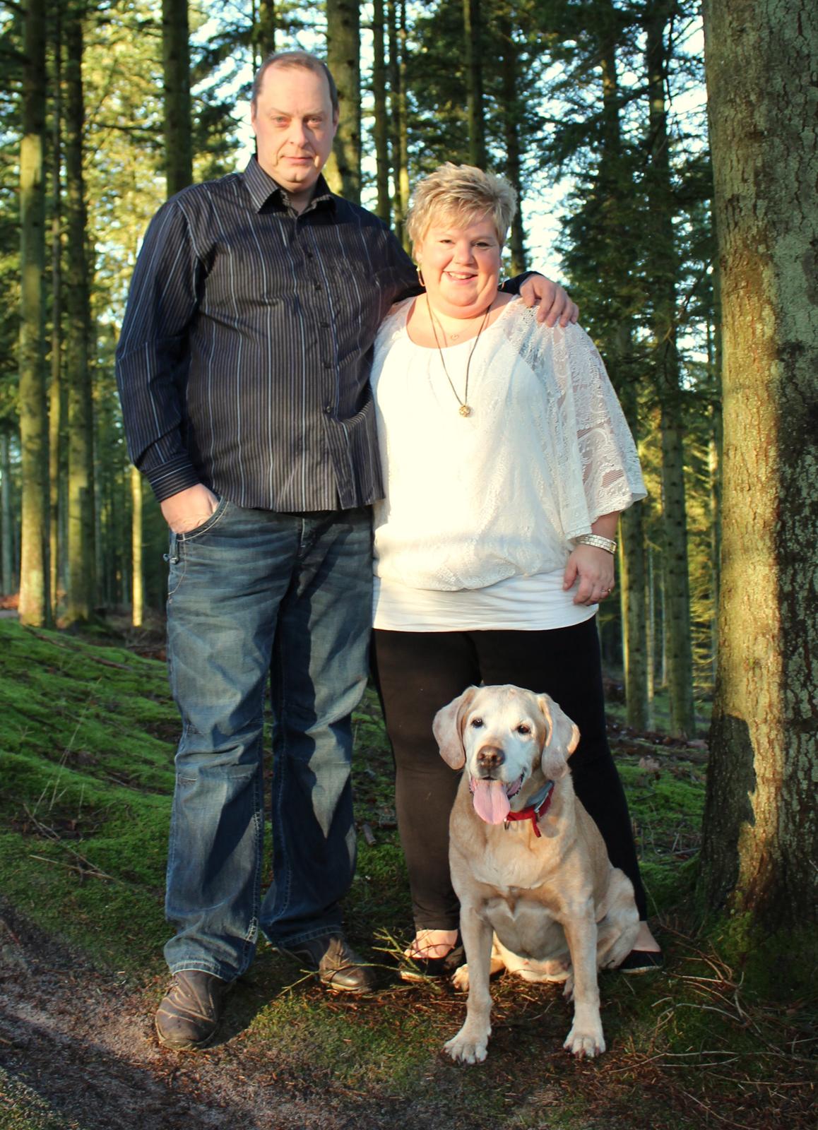 Labrador retriever Tea billede 19