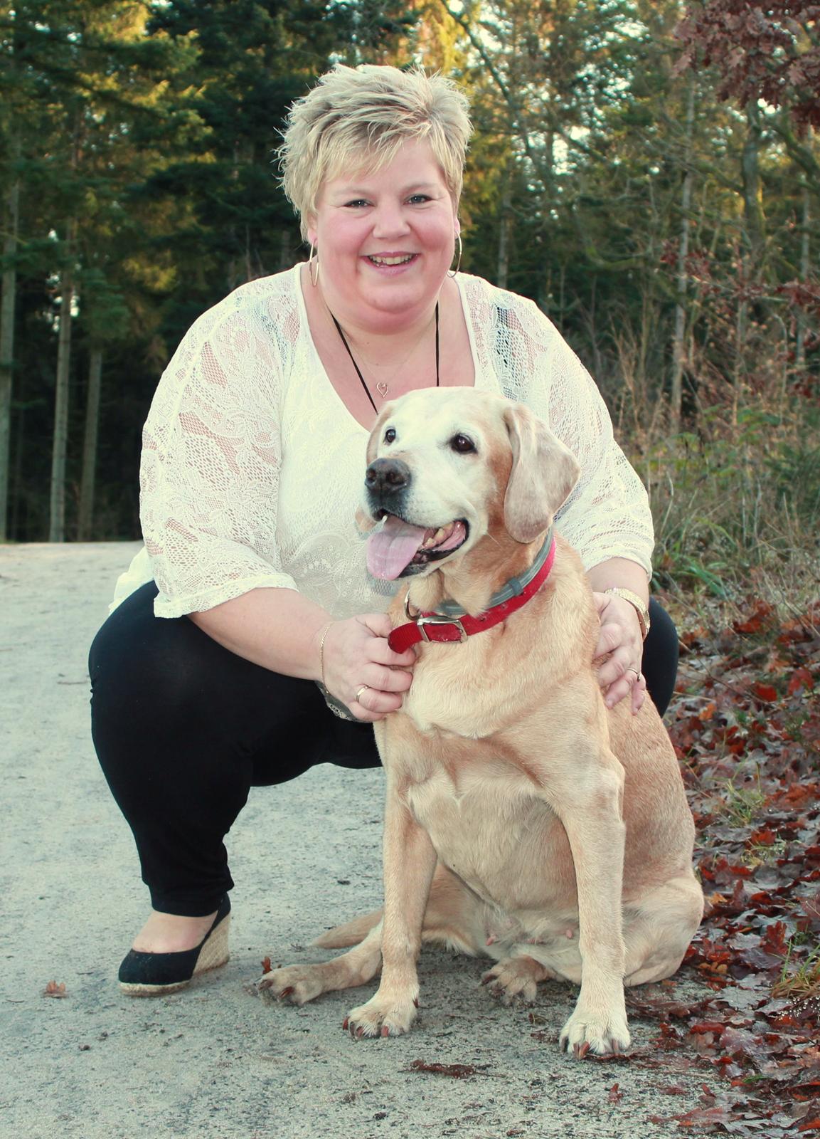 Labrador retriever Tea billede 20