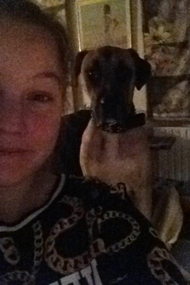 Blanding af racer Putin billede 2