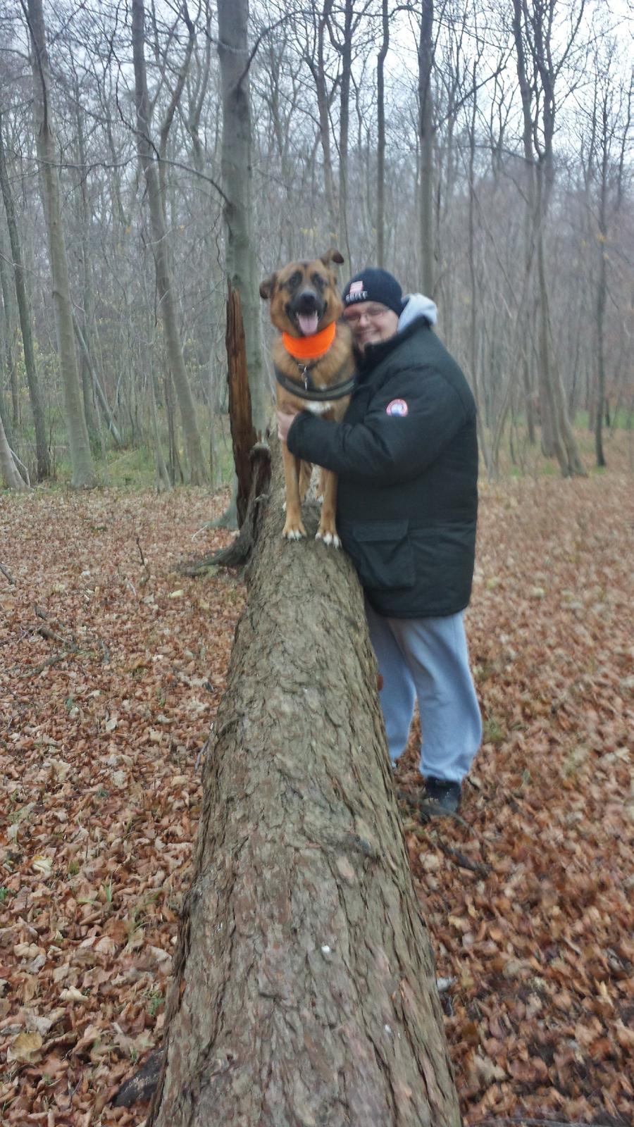 Blanding af racer Oscar billede 26