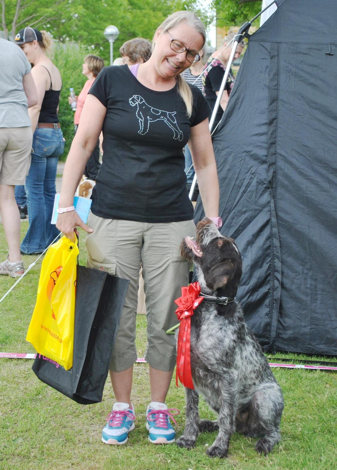 Ruhåret hønsehund Gina - RBM med 99 point :) og vinder af klassen  billede 21