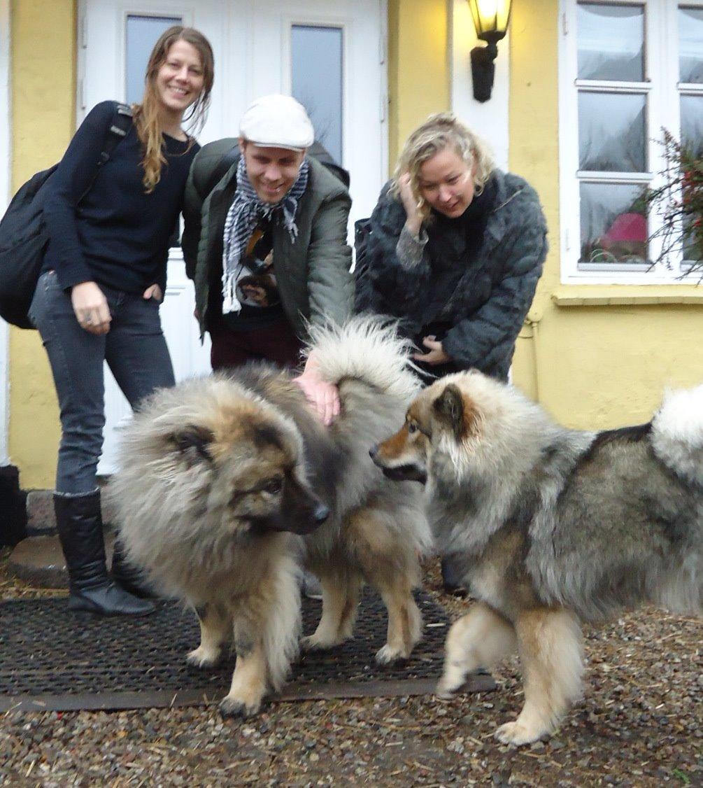 Eurasier Aiko billede 4