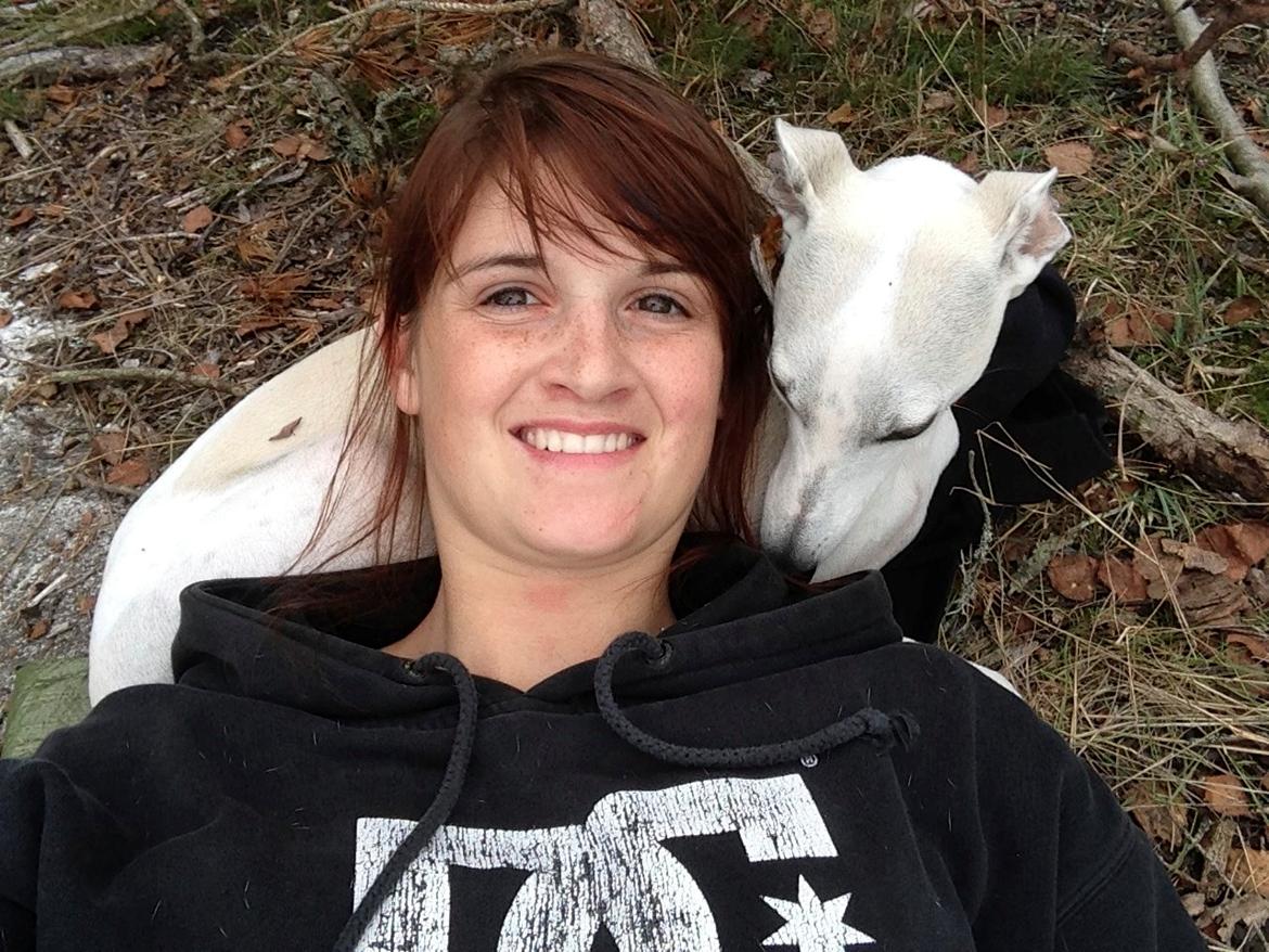 Whippet Kiwi billede 19