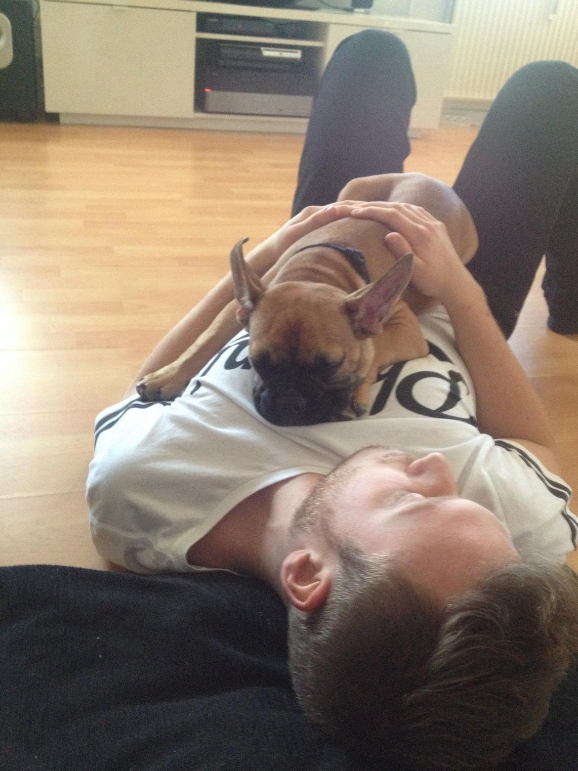 Blanding af racer Charlie billede 16