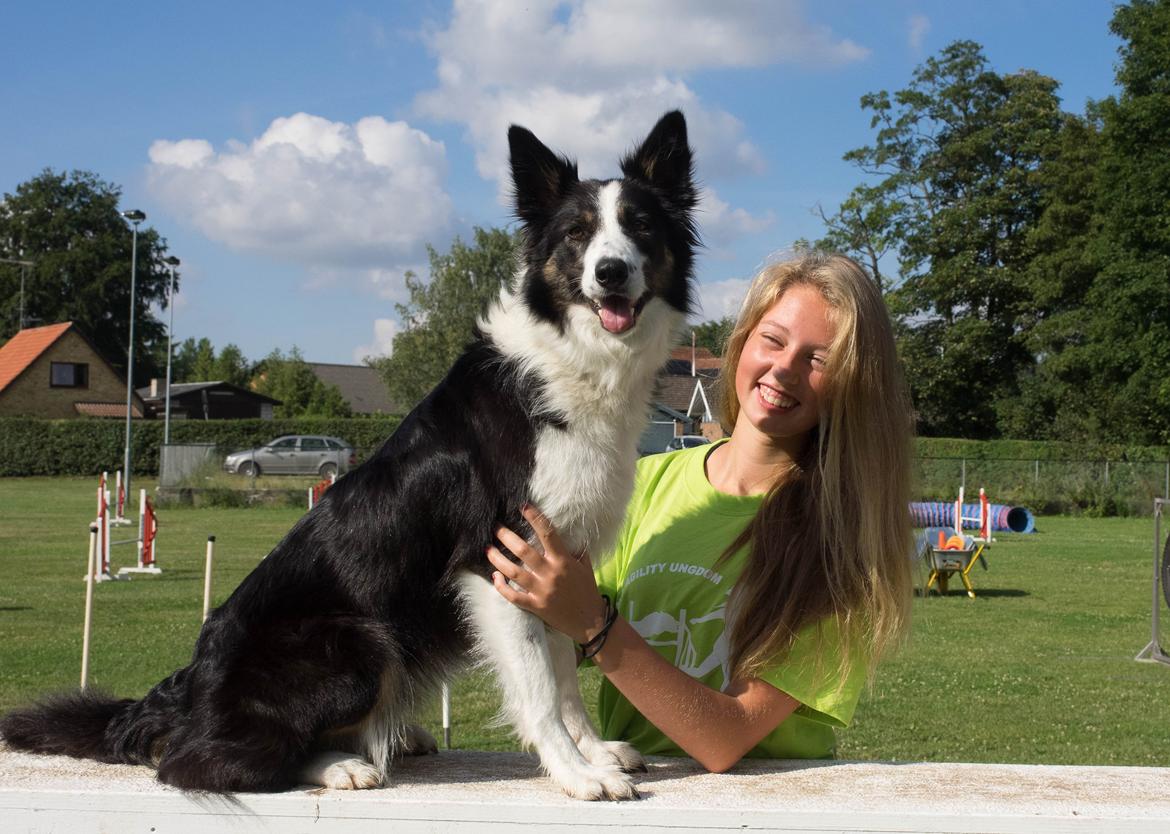Border collie Laika - Laika og jeg  <3 billede 16
