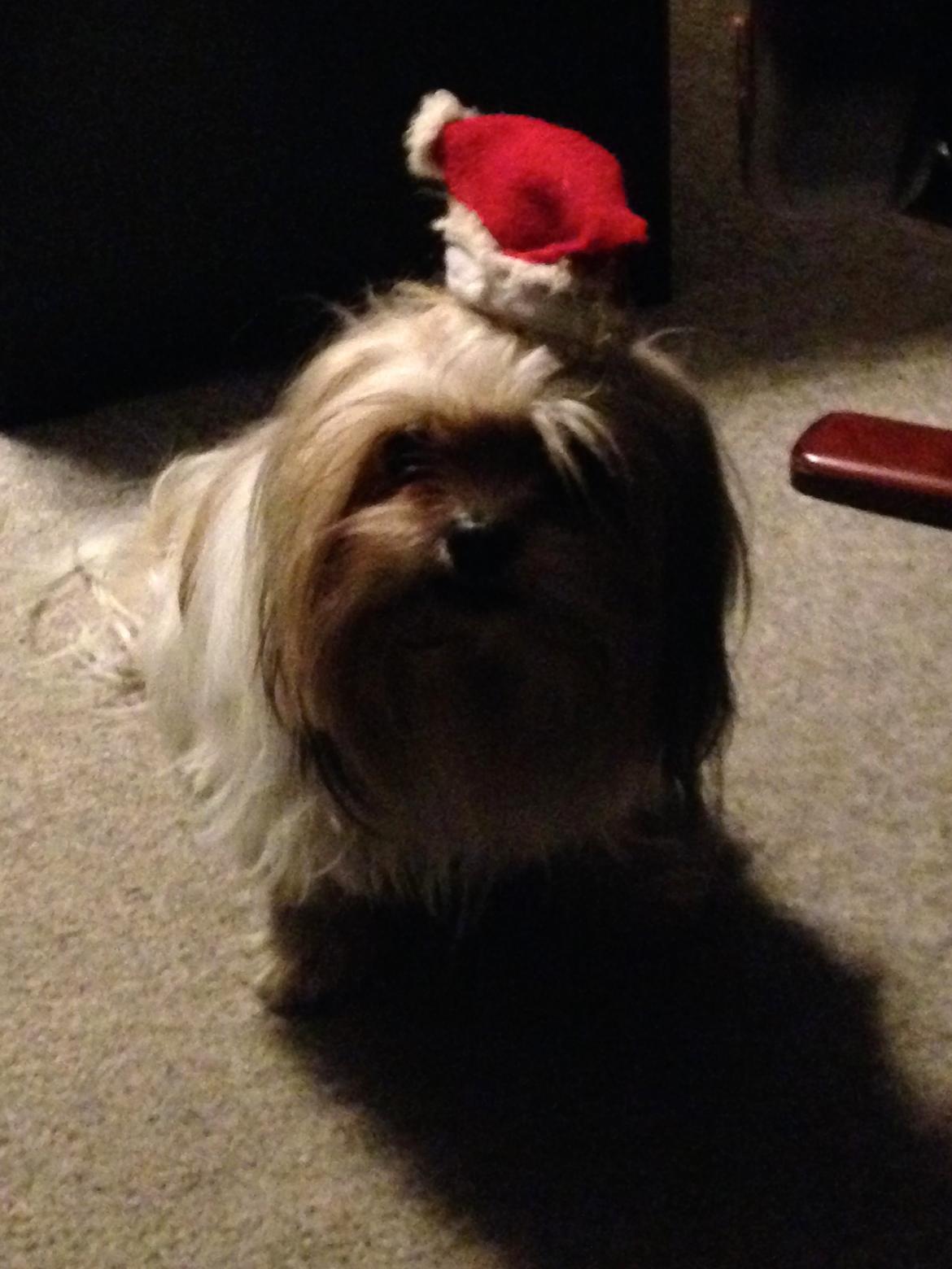 Blanding af racer Betty boop billede 7