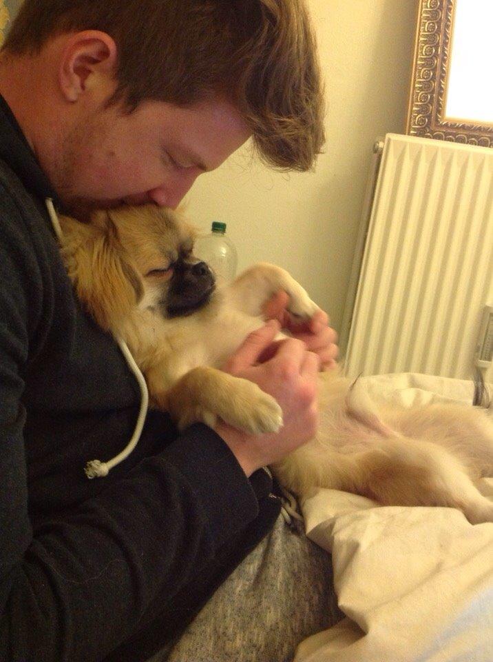 Blanding af racer Mojo billede 1