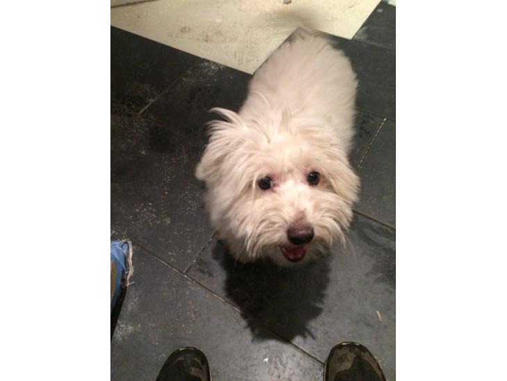 {{currentPhoto.altText}} billede {{currentPhoto.number}}