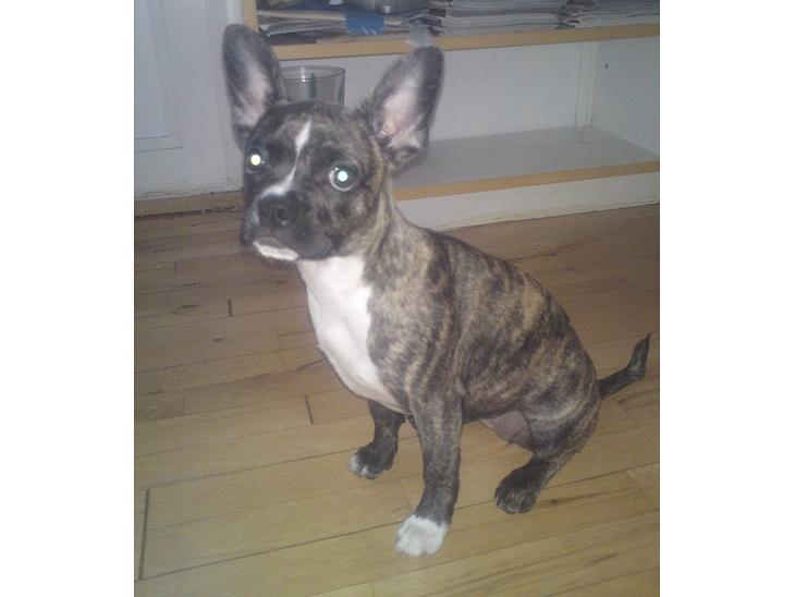 {{currentPhoto.altText}} billede {{currentPhoto.number}}