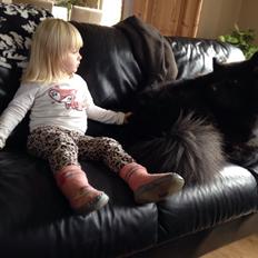 Blanding af racer Tyson