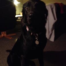 Blanding af racer Niño