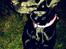 Labrador retriever Captain Morgan Freeman