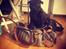Mops Berta