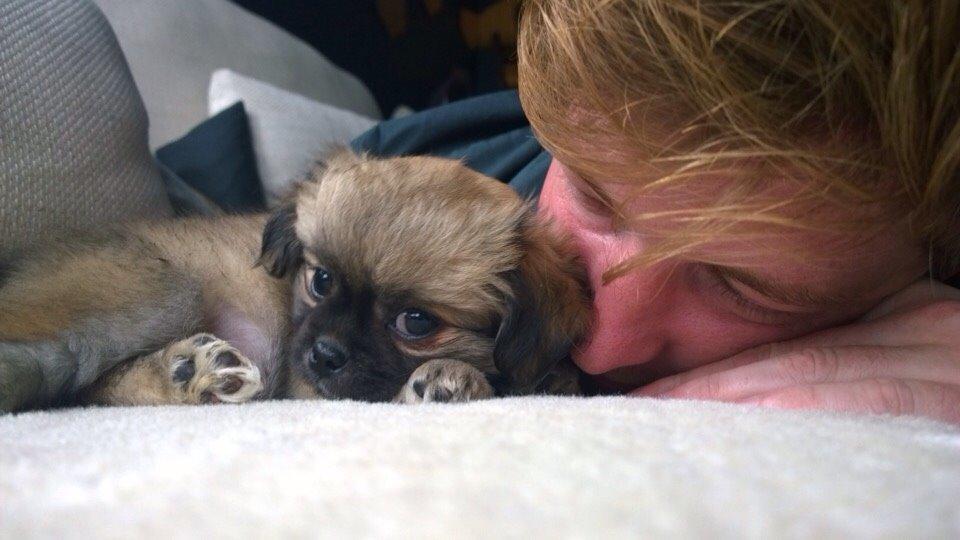 Blanding af racer Mojo billede 12