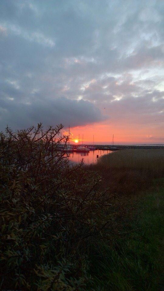 Blanding af racer Mojo billede 15