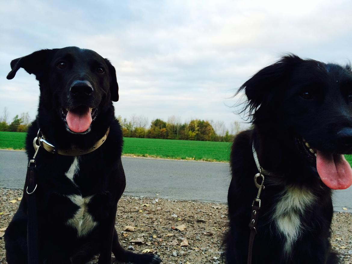 Blanding af racer Kenzo <3 - De her betyder alt :-* billede 18