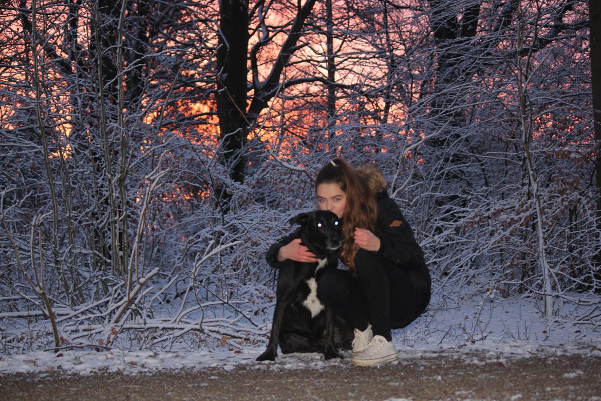 Blanding af racer Kenzo <3 - 2. sidste dag med mit et og alt <3 billede 4