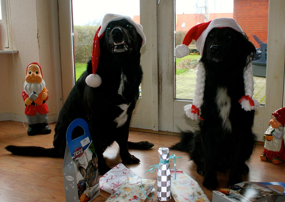 Blanding af racer Kenzo <3 - Jul 2013, de to bedste <3 billede 16