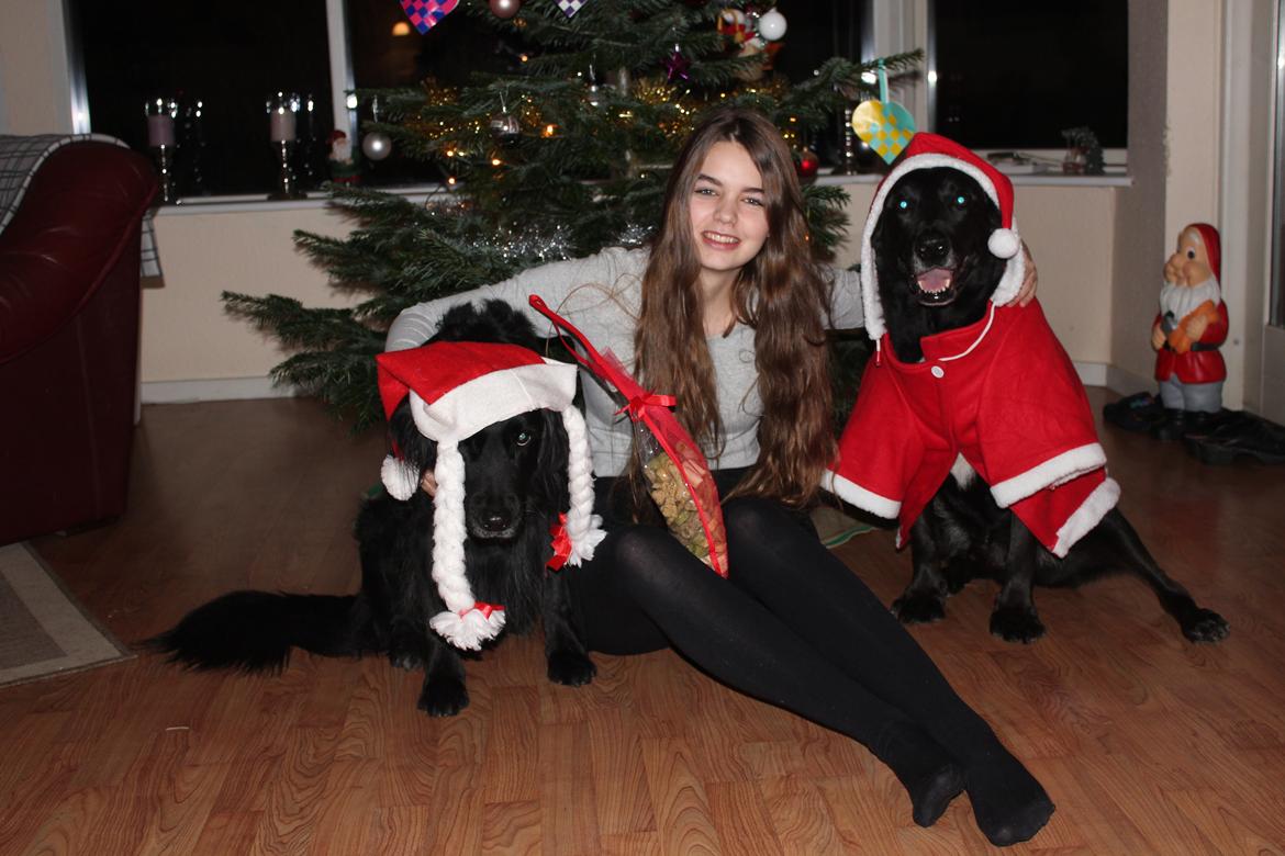 Blanding af racer Kenzo <3 - Jul 2014 med de to bedste<3  billede 1