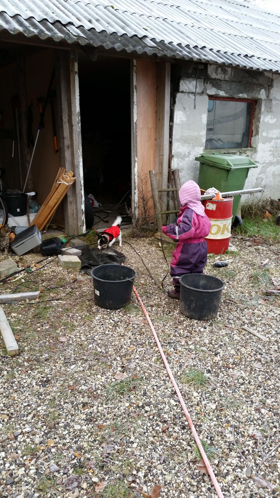 Blanding af racer Bella billede 4