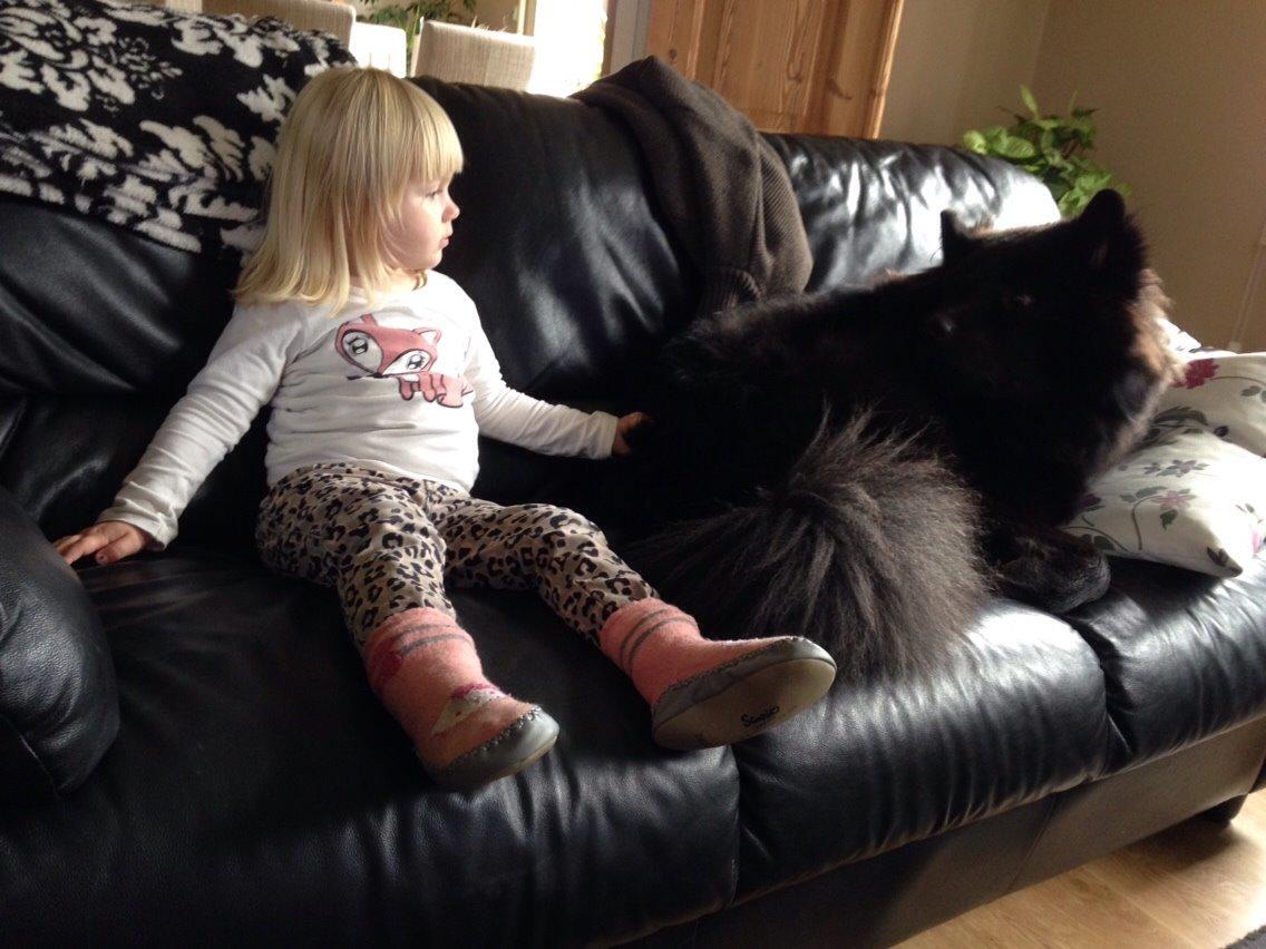 Blanding af racer Tyson billede 3