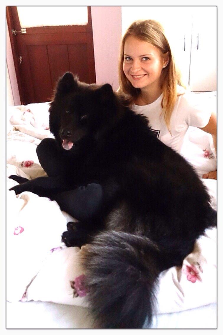 Blanding af racer Tyson billede 10