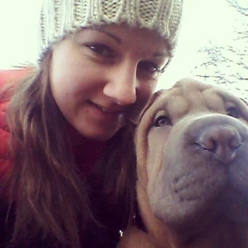 Shar pei Chuck Norris billede 13