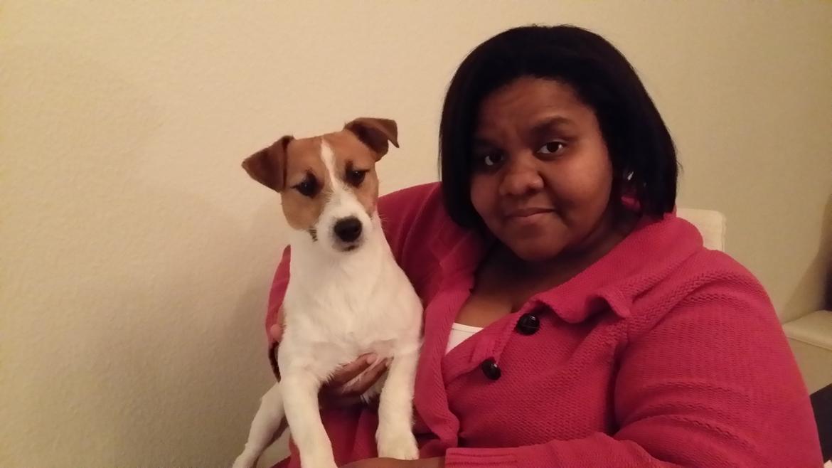 Jack russell terrier Thor billede 12