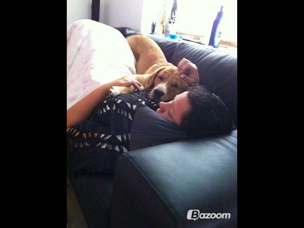 Blanding af racer Kenzo (Uffe/Luffe) - Uffe der pylre om mor.;) billede 12