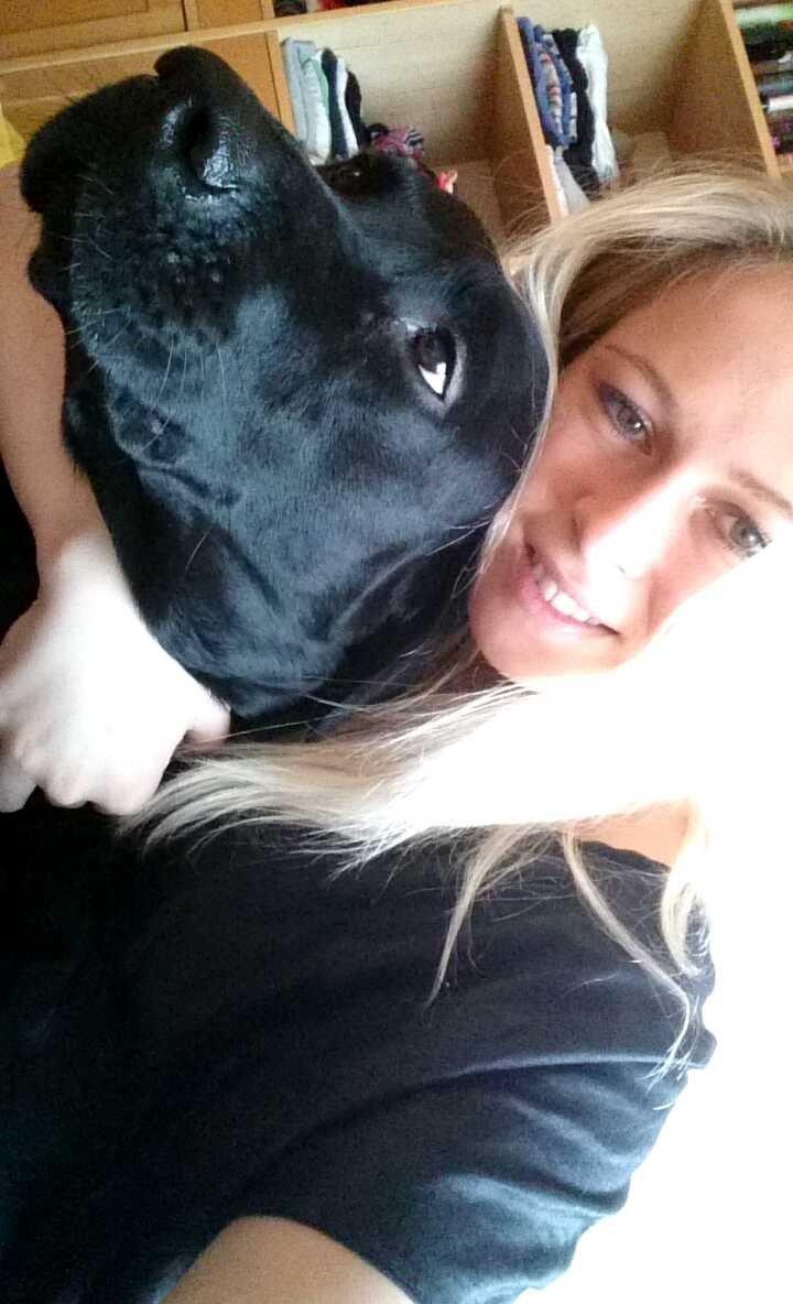 Labrador retriever Captain Morgan Freeman billede 6