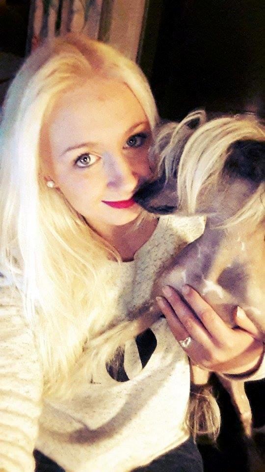Chinese crested hårløs Sminna billede 11