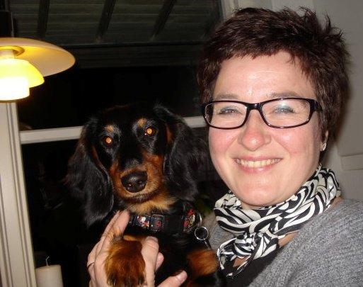 Miniature gravhund Carla billede 13