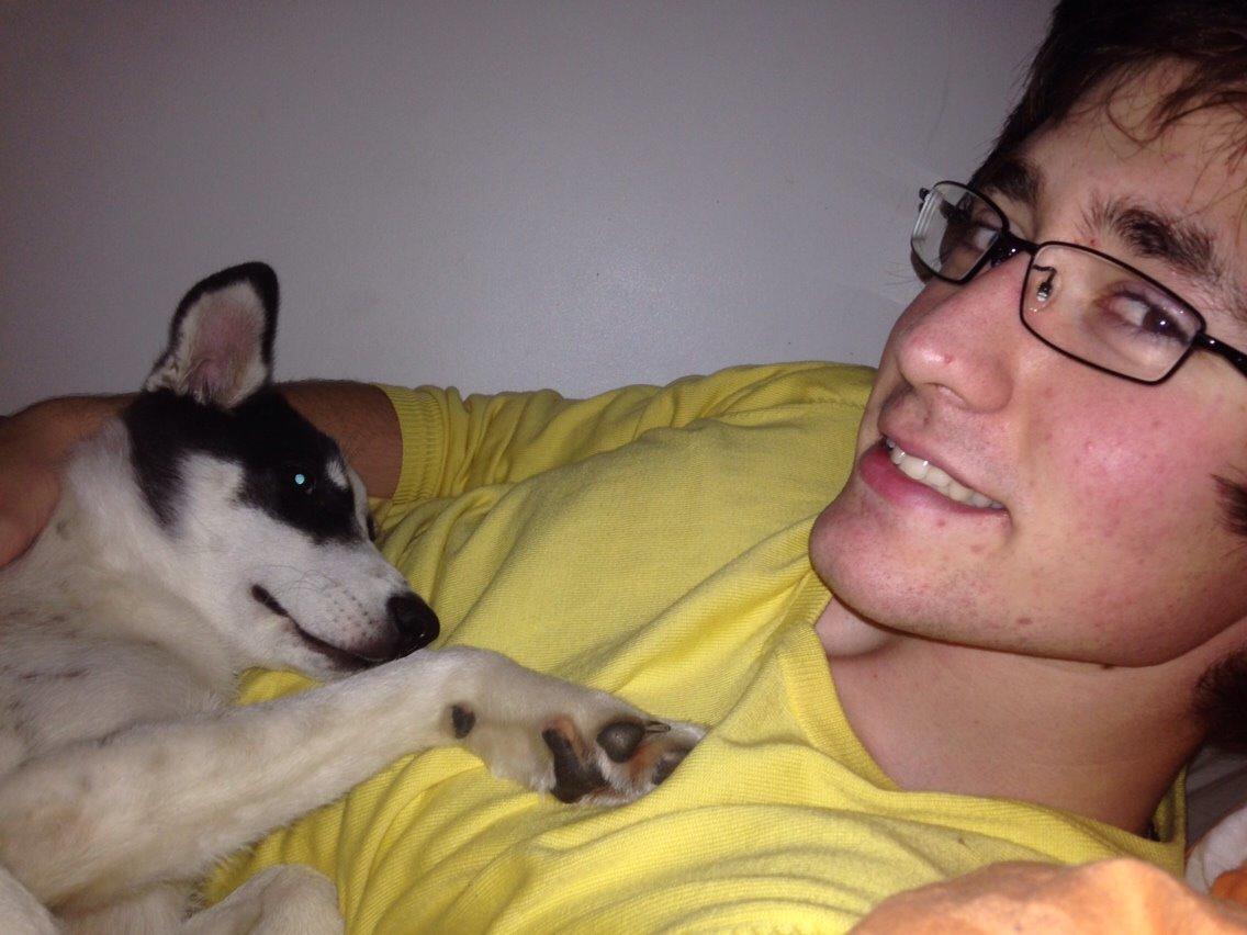 Alaskan husky Nikita billede 7