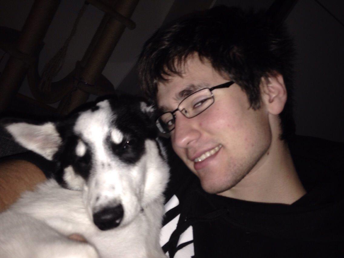 Alaskan husky Nikita billede 10