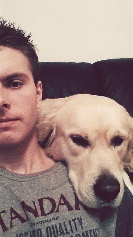 Golden retriever Manse billede 3