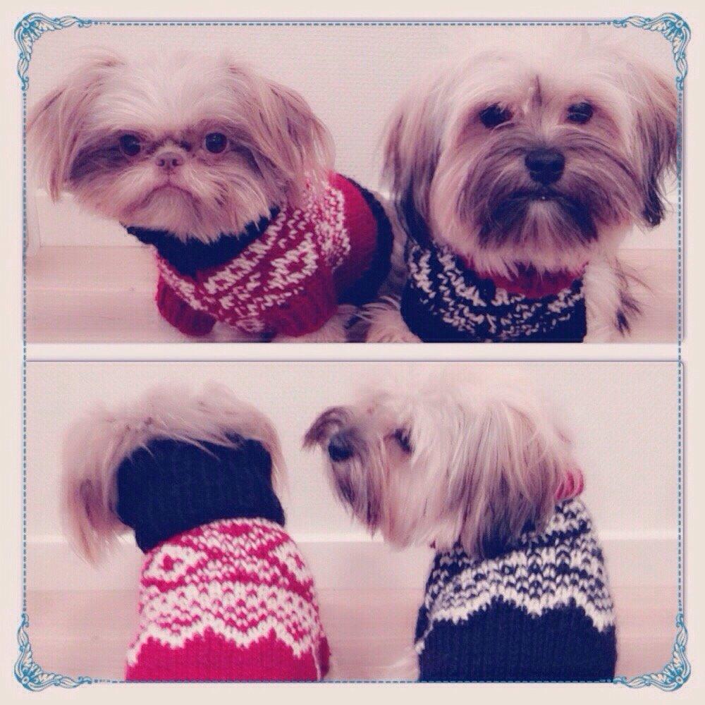 Blanding af racer Alto billede 15