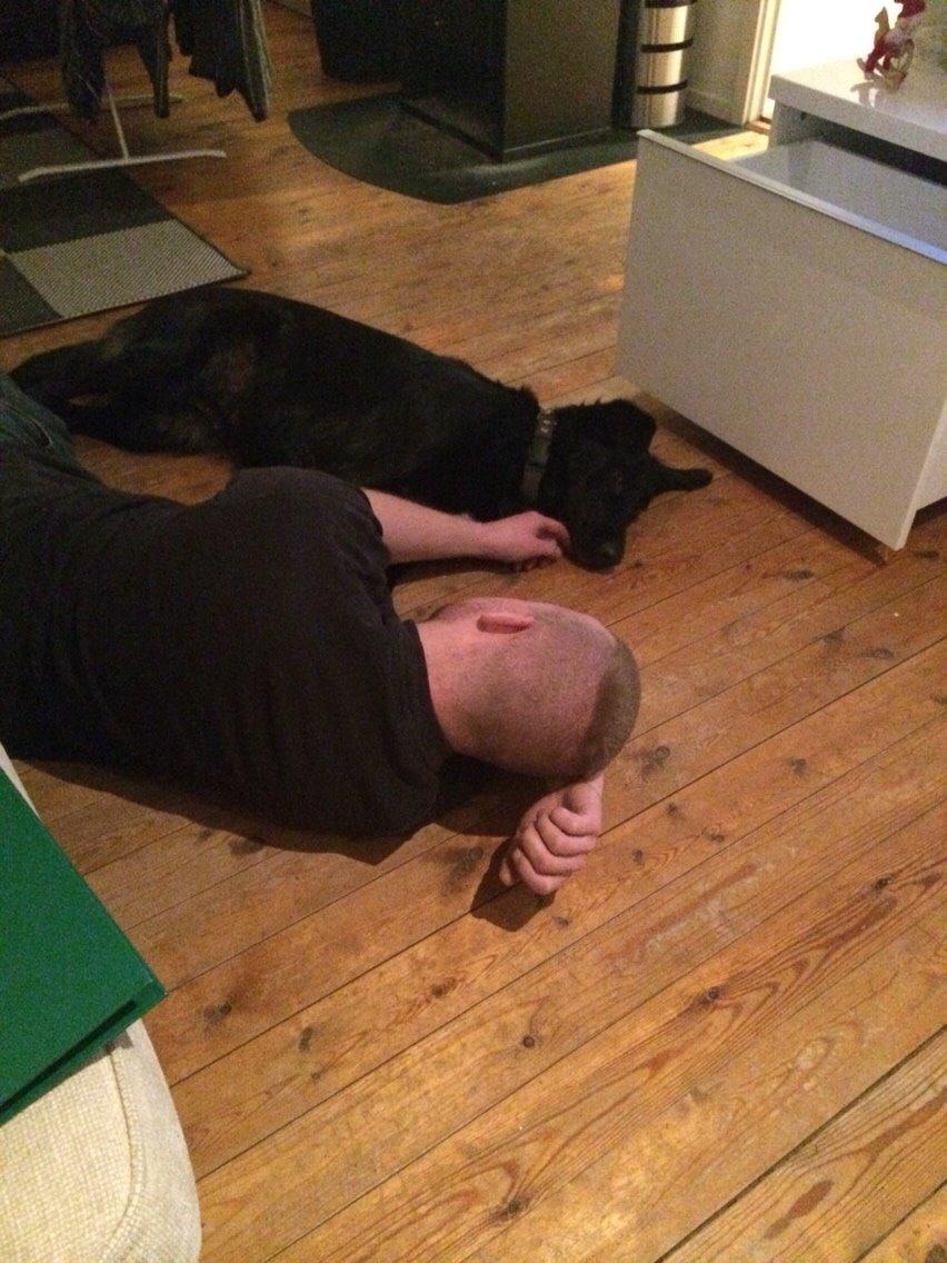 Blanding af racer Bella Mio billede 12