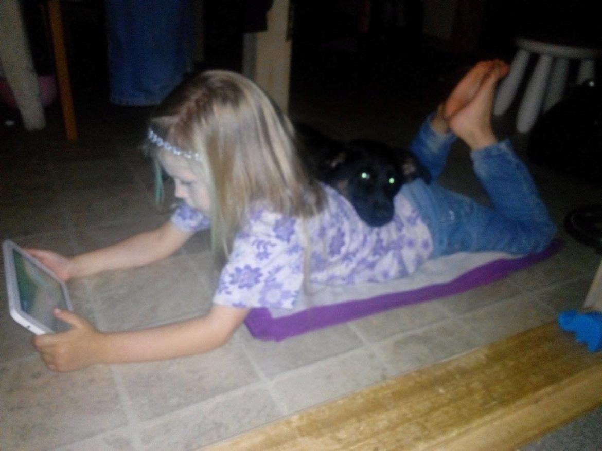 Schæferhund Zoey billede 13