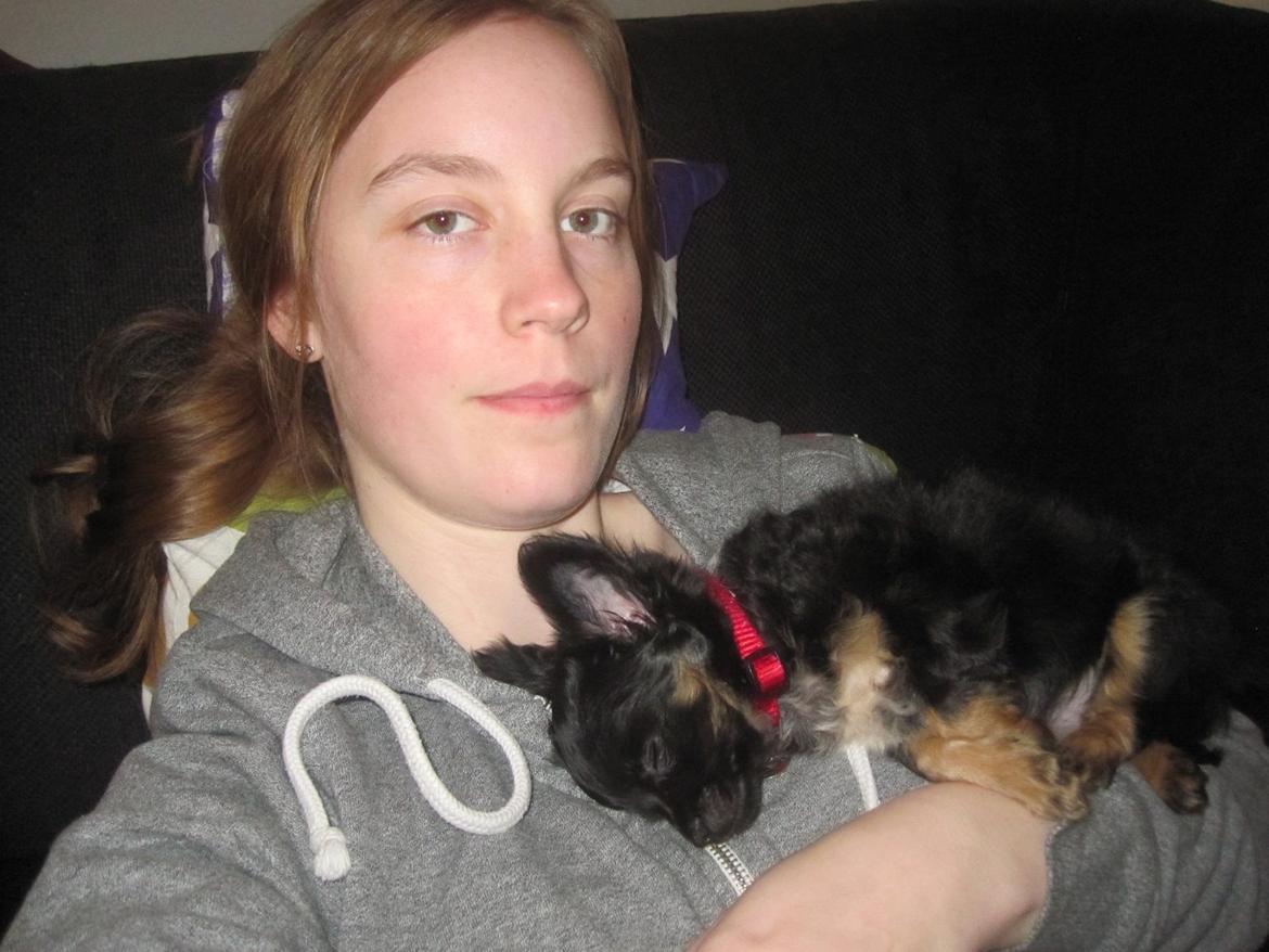 Chihuahua Paya - 29/12-2014 billede 12