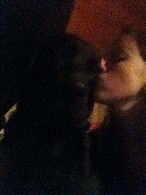 Blanding af racer Niño billede 5