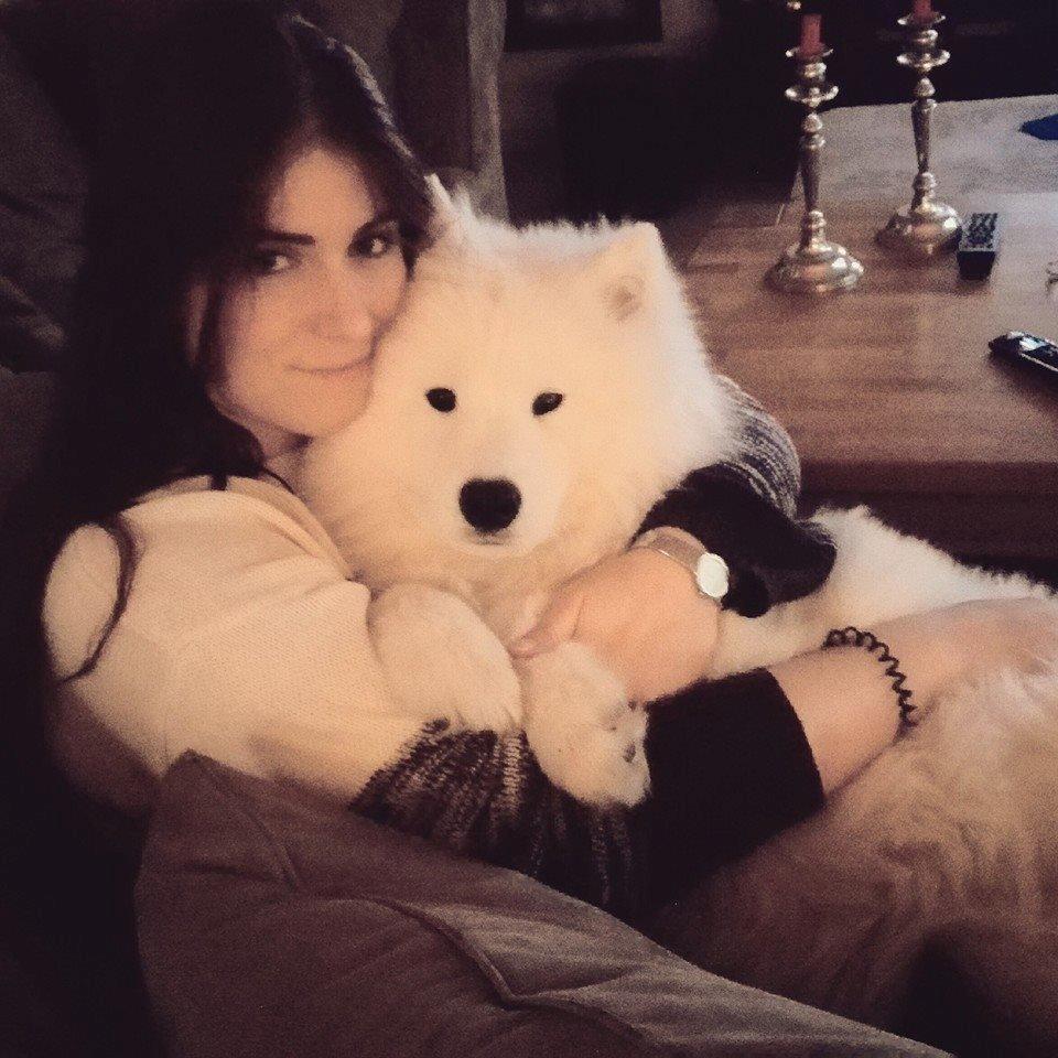 Samojedhund Nessie billede 2