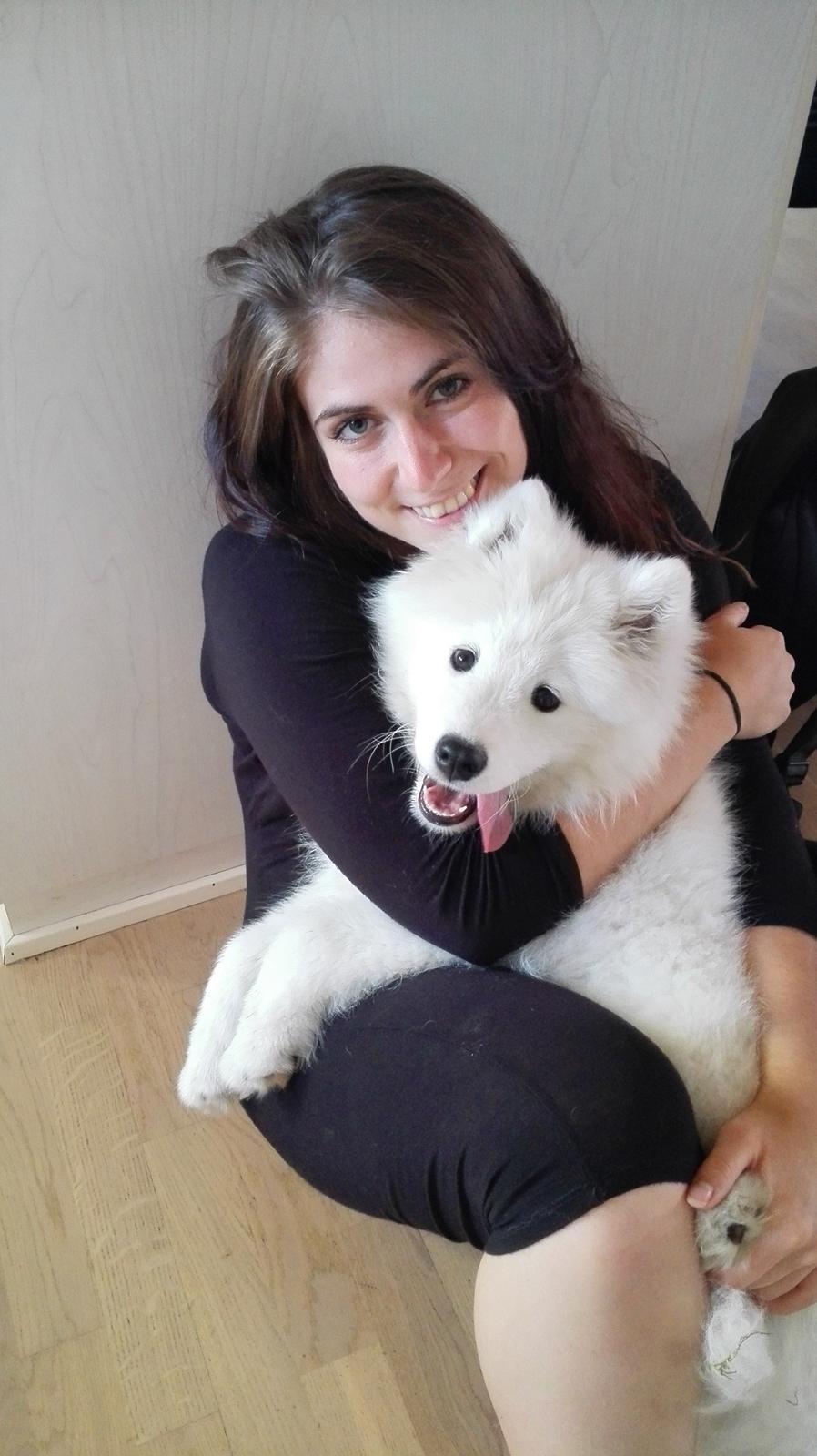 Samojedhund Nessie billede 7