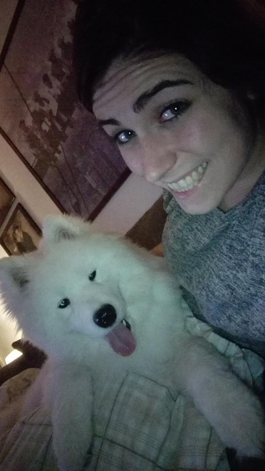 Samojedhund Nessie billede 8