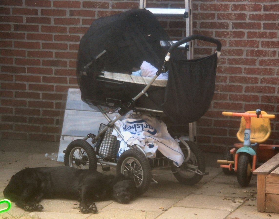 Blanding af racer sally billede 8