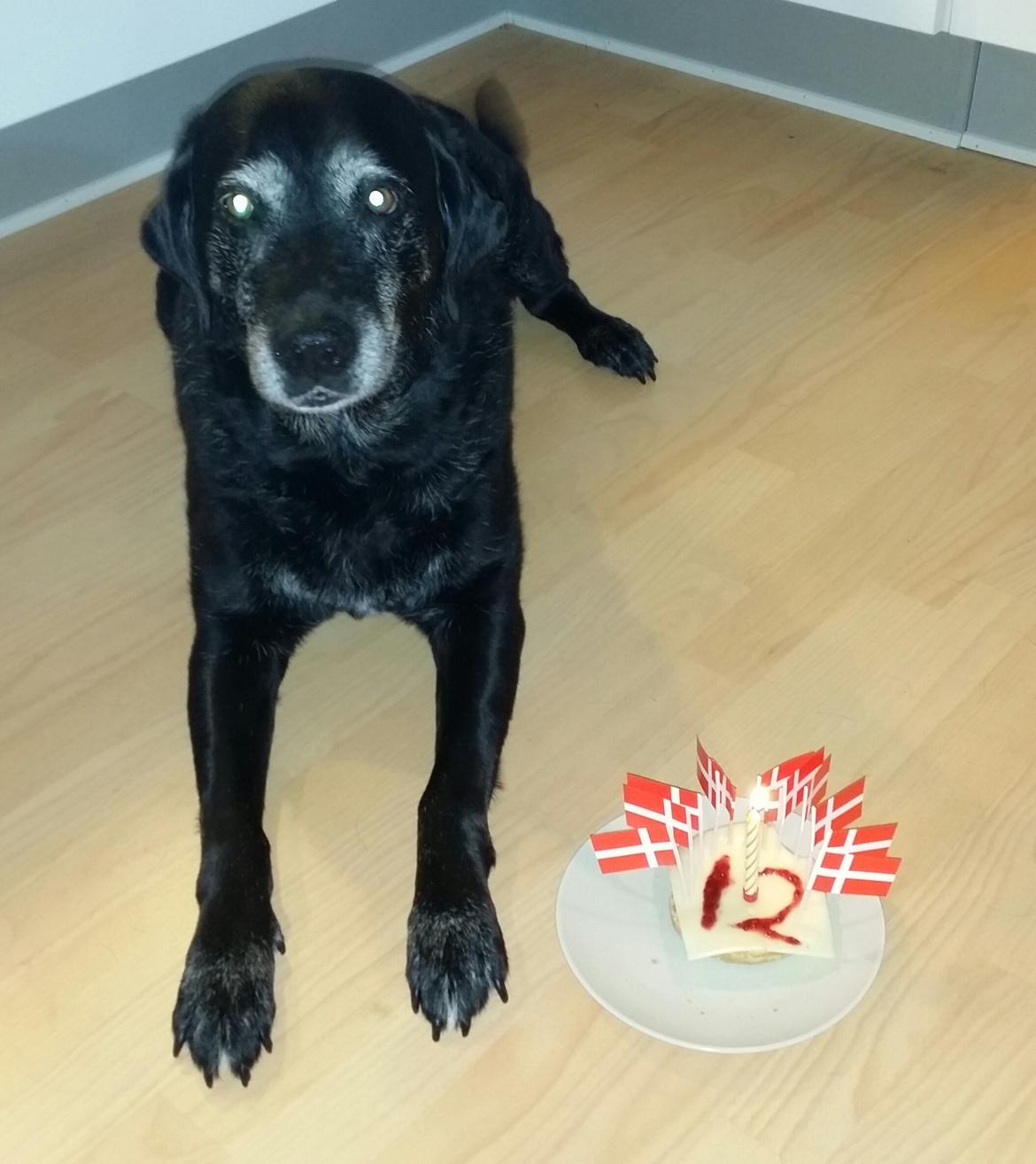 Blanding af racer sally billede 18