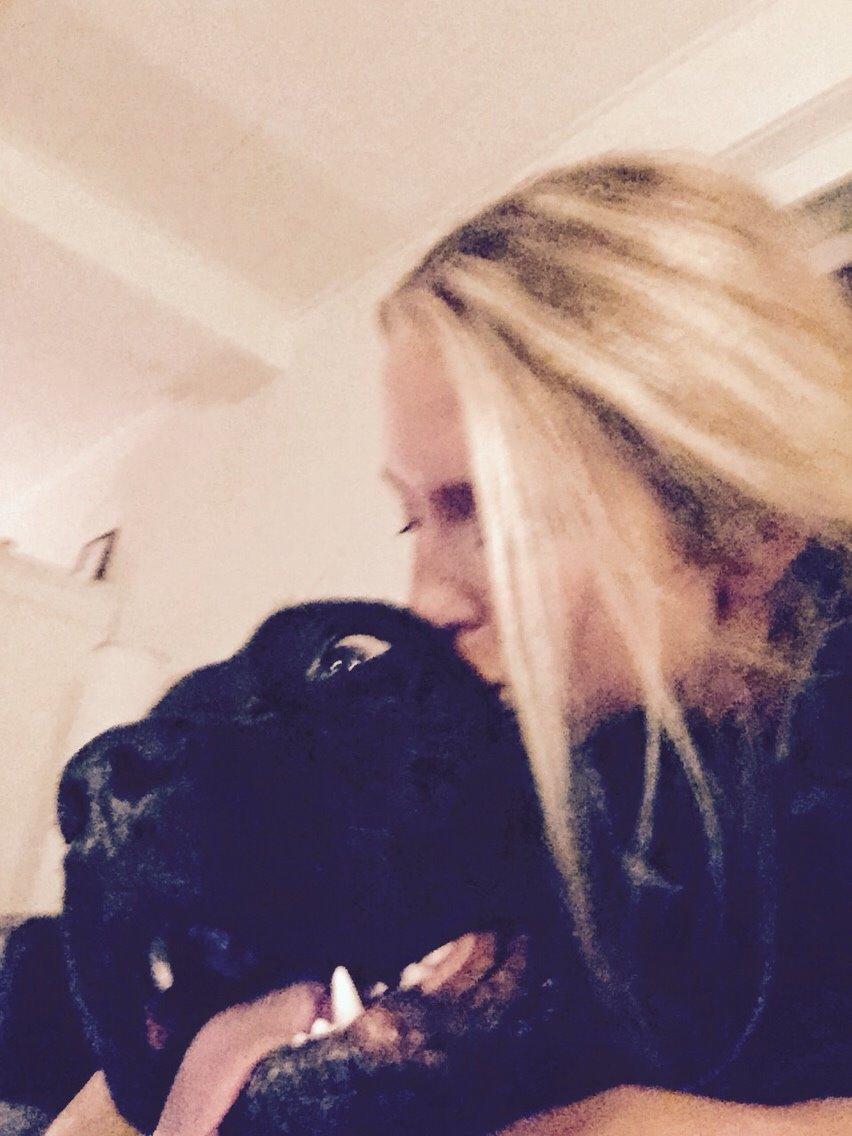 Cane corso Marco billede 17