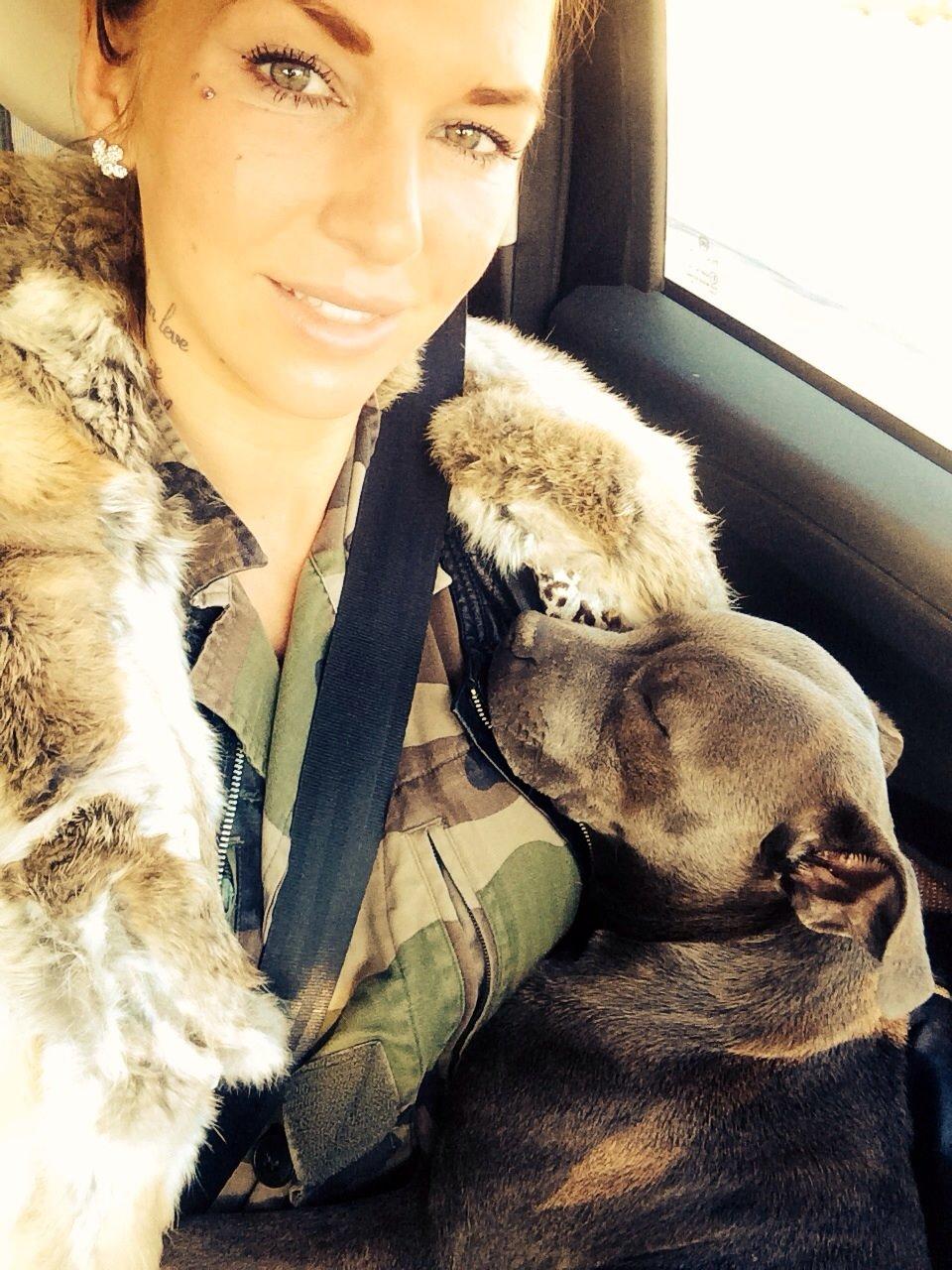 Staffordshire bull terrier Enchanting Ice Queen (Lucca) billede 19