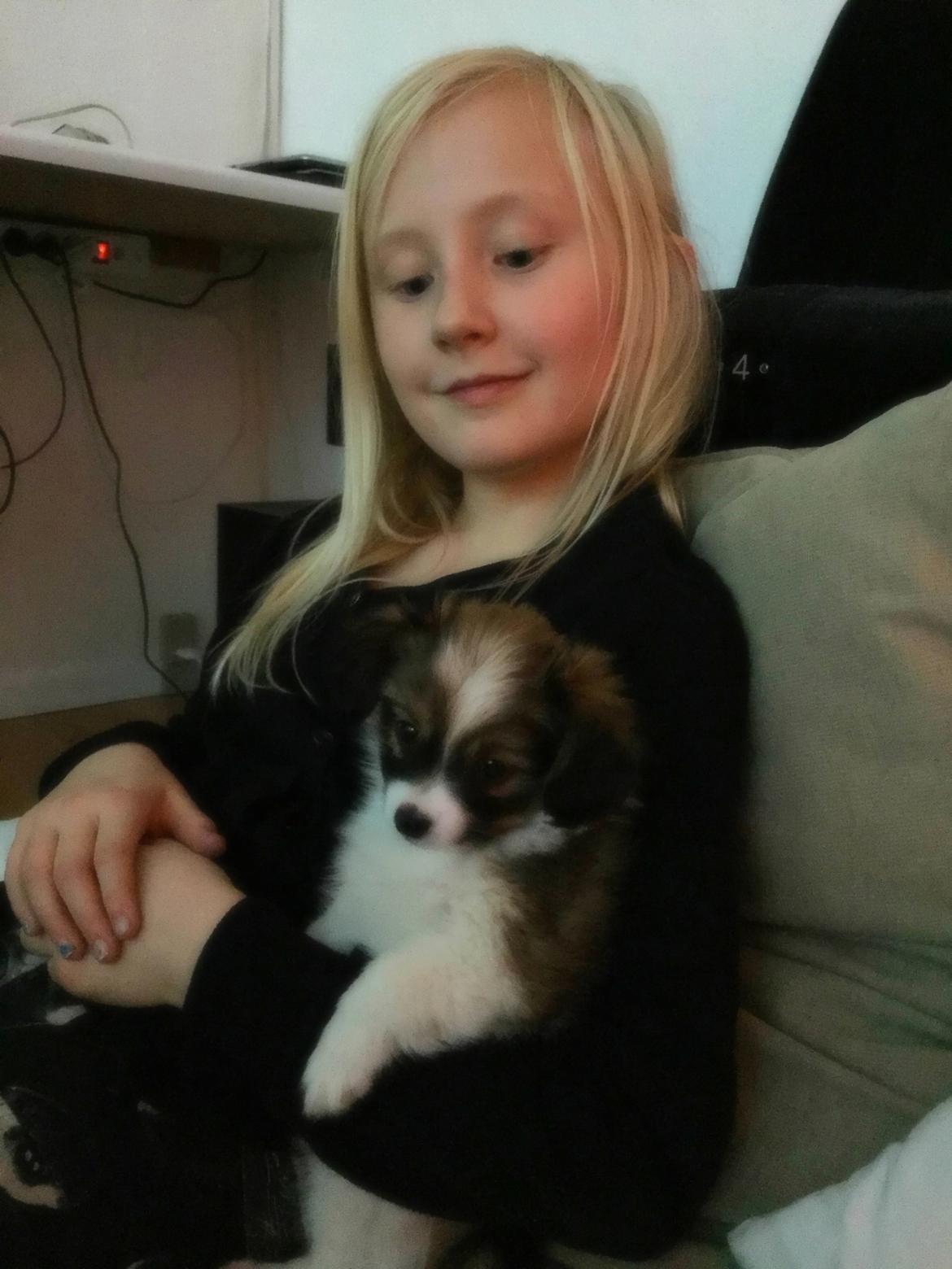 Phalene Choko billede 14